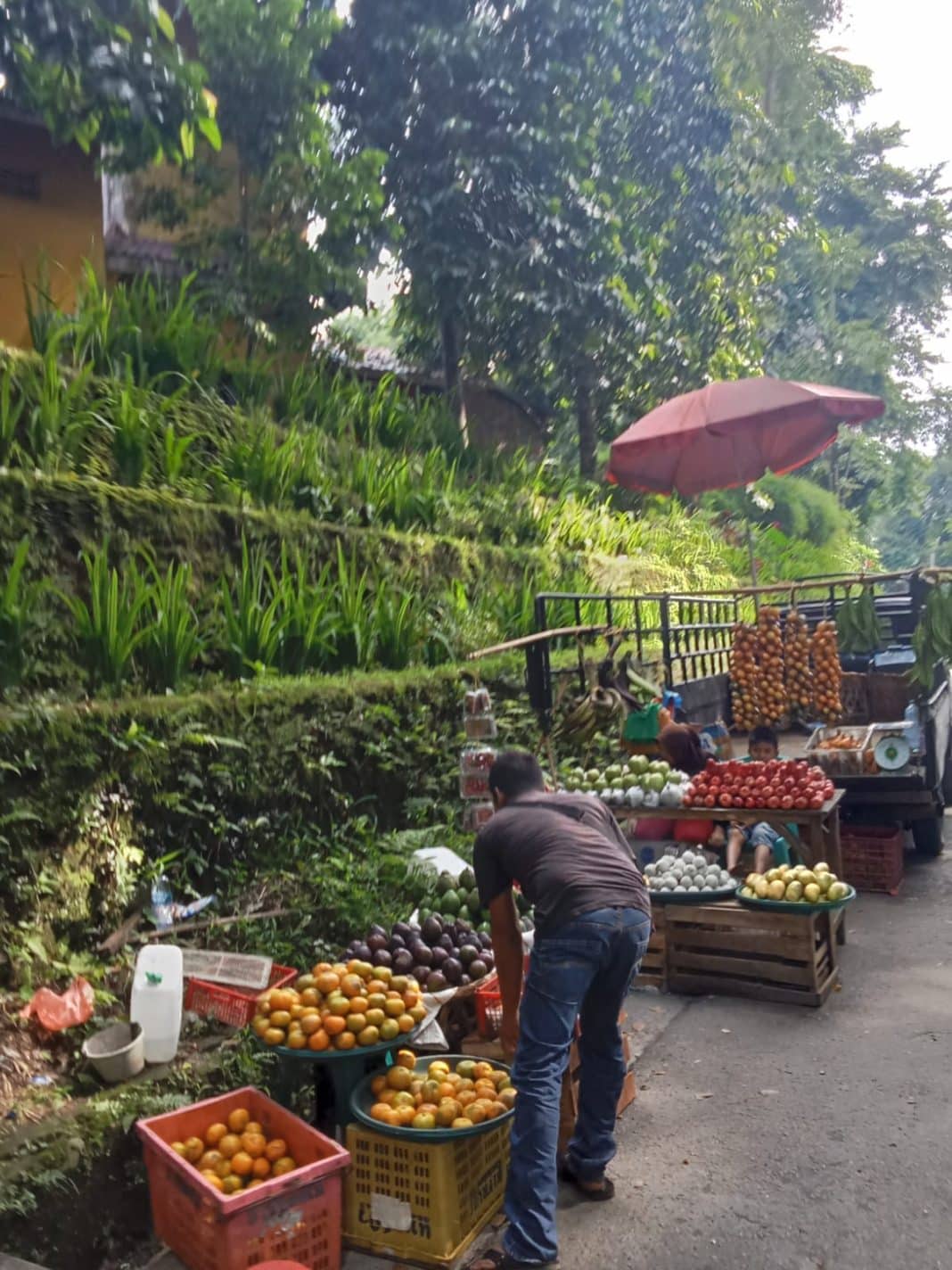 Tradisi Singgah Beli Buah Saat Touring: Kesegaran Jalanan yang Jadi Cerita