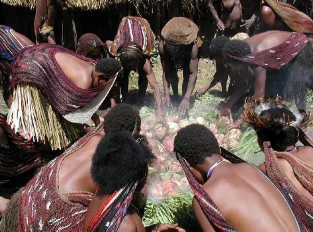 Hutan Papua di Meja Taruhan Negara 1 Hutan Papua di Meja Taruhan Negara